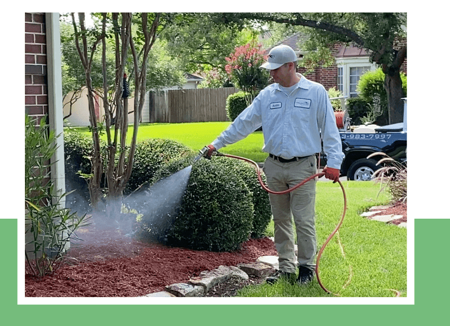 Houston Pest Control Services | Preventive Pest Control