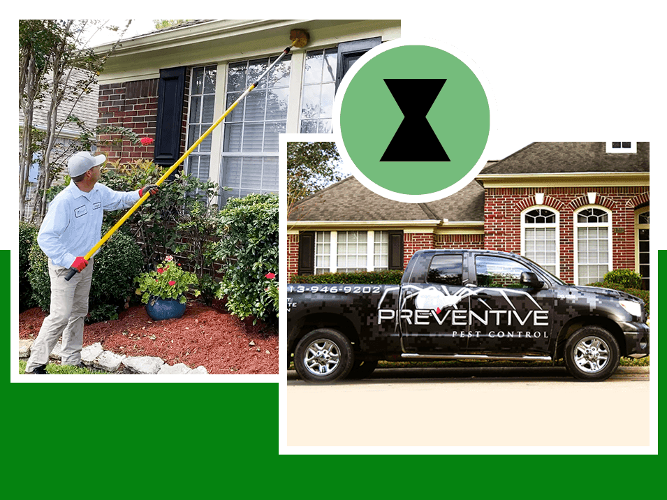 Houston Pest Control | Preventive Pest Control